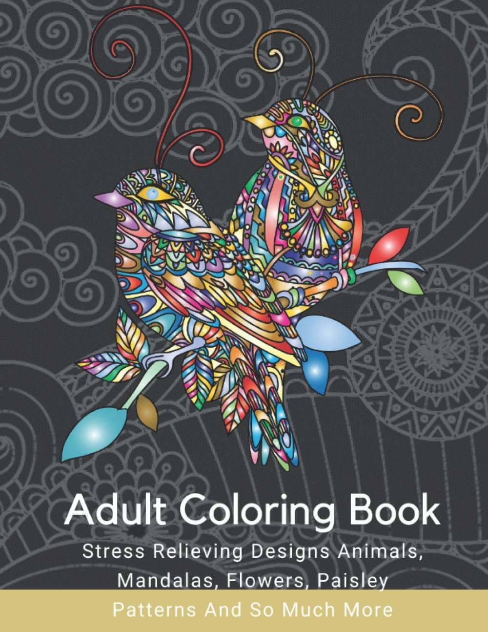 Adult Coloring Book Coloring Book SureShot Books Publishing LLC