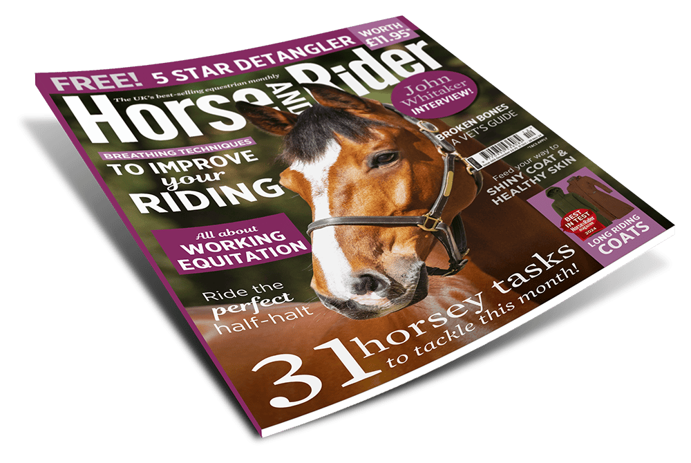 HORSE & RIDER Magazines Subscriptions Equine Network, LLC