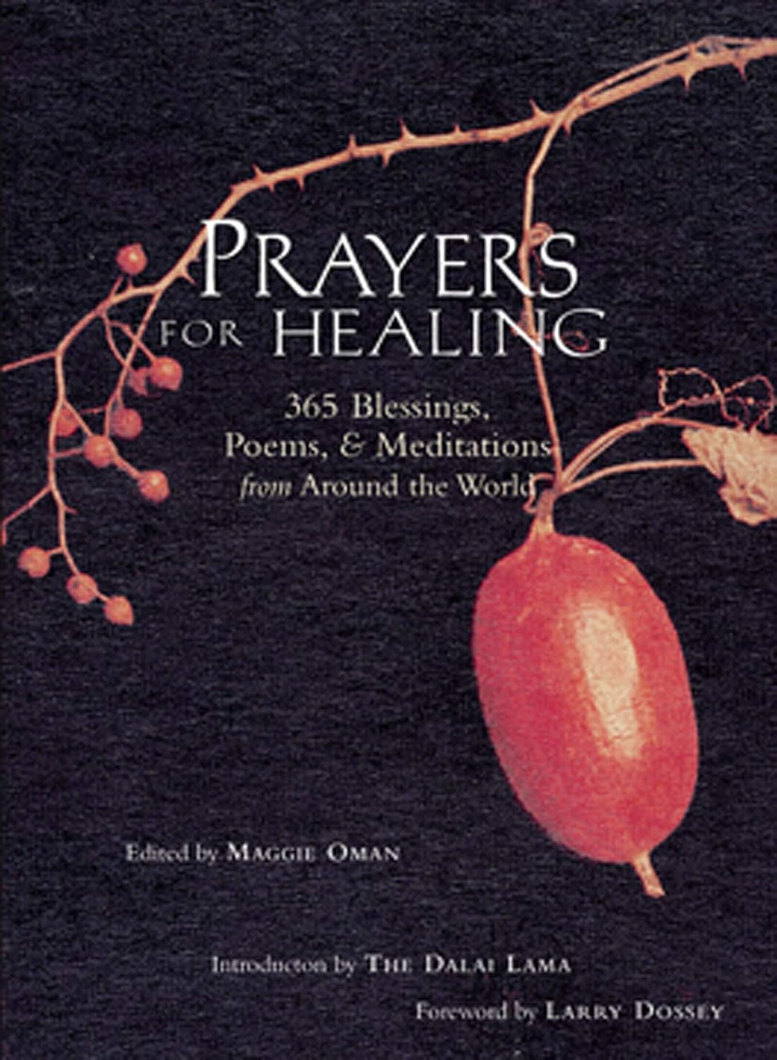 Prayers for Healing: 365 Blessings, Poems, & Meditations from Around the World (Meditations for Healing, Sacred Writings) - Indiana Corrections Bookstore