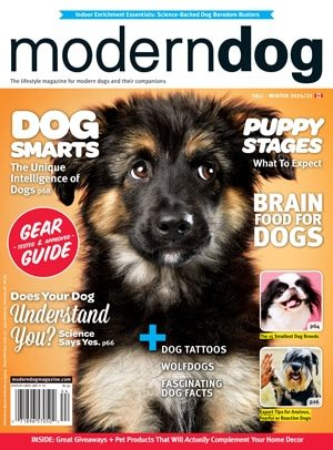 Modern Dog Magazine Magazines Subscriptions Connie Wilson