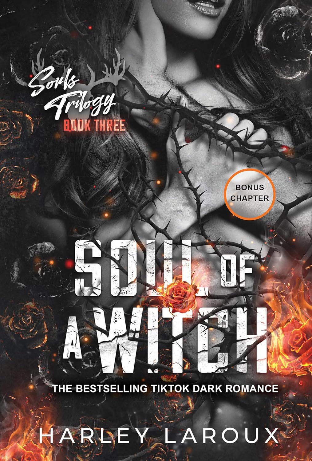 Soul of a Witch: A Spicy Dark Demon Romance (Souls Trilogy) - IN Corrections Bookstore