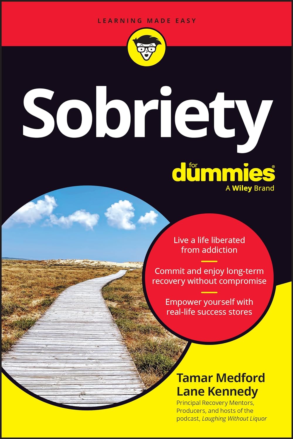 Sobriety for Dummies (1ST ed.) - IN Corrections Bookstore