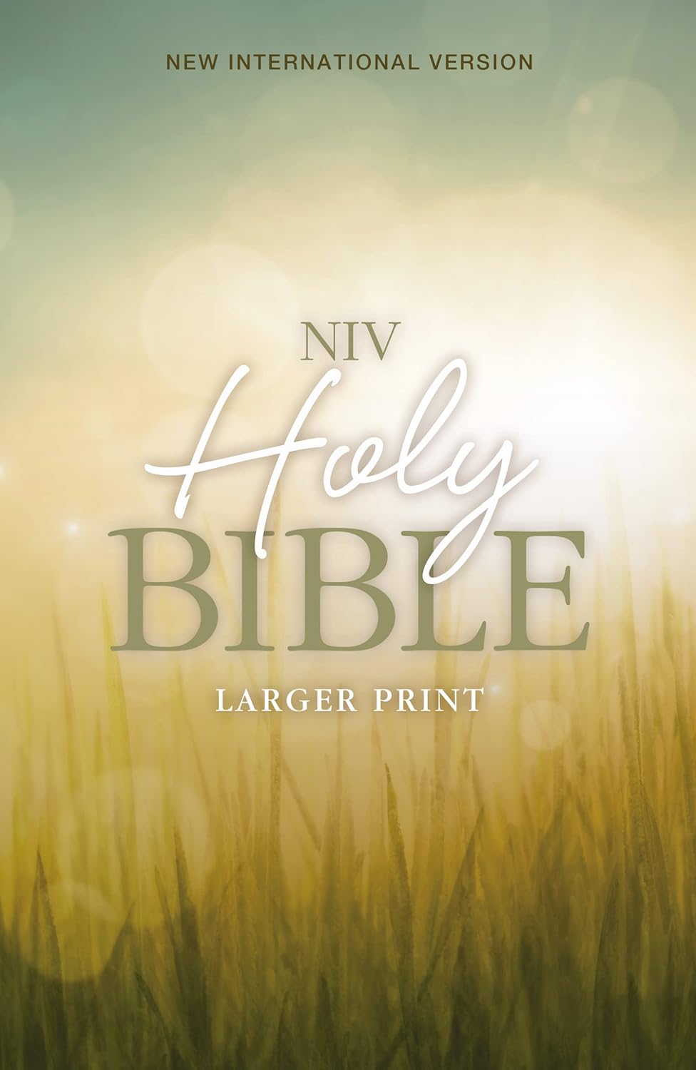 NIV, Holy Bible, Larger Print, Paperback