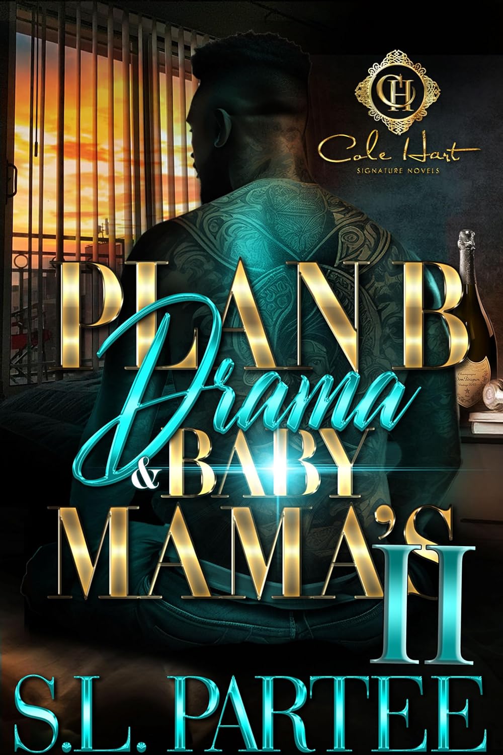 Plan B Drama & Baby Mama's 2: An African American Romance - IN Corrections Bookstore