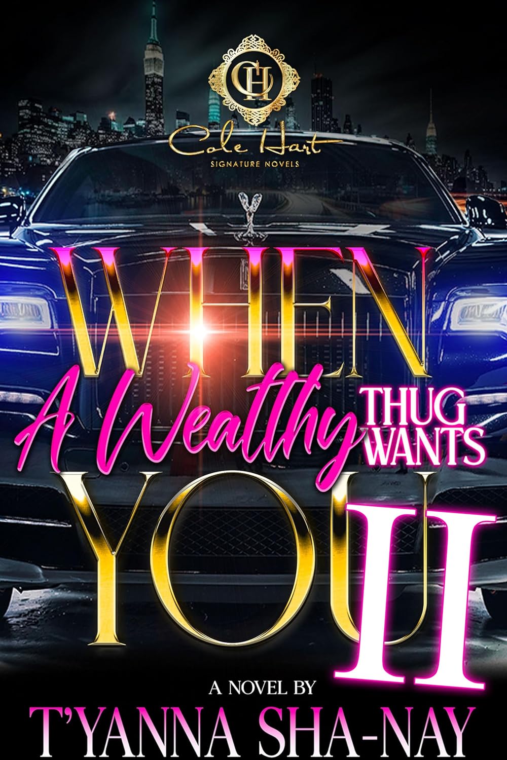 When A Wealthy Thug Wants You 2: An African American Romance (When a Wealthy Thug Wants You #2) - IN Corrections Bookstore