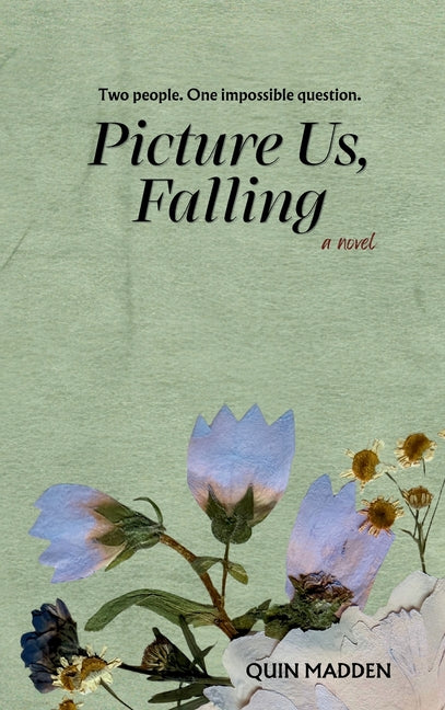 Picture Us, Falling by Madden, Quin