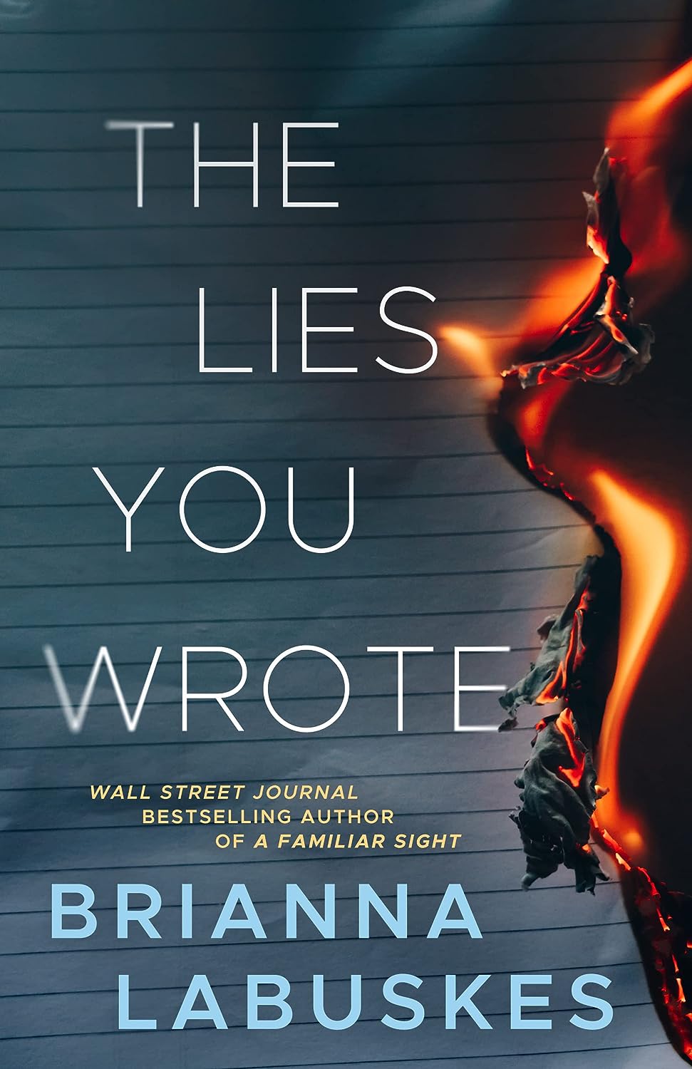 The Lies You Wrote (Raisa Susanto #1) - IN Corrections Bookstore