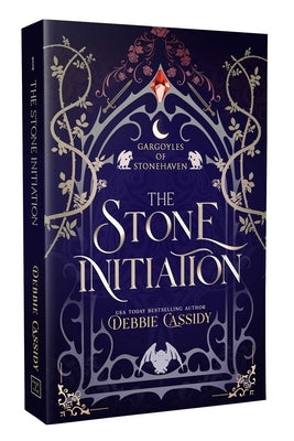 Paperback edition of "The Stone Initiation" by Page & Vine, featuring a textured cover and vibrant artwork.