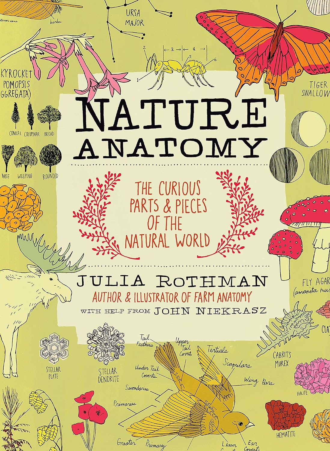Nature Anatomy: The Curious Parts and Pieces of the Natural World - Indiana Corrections Bookstore
