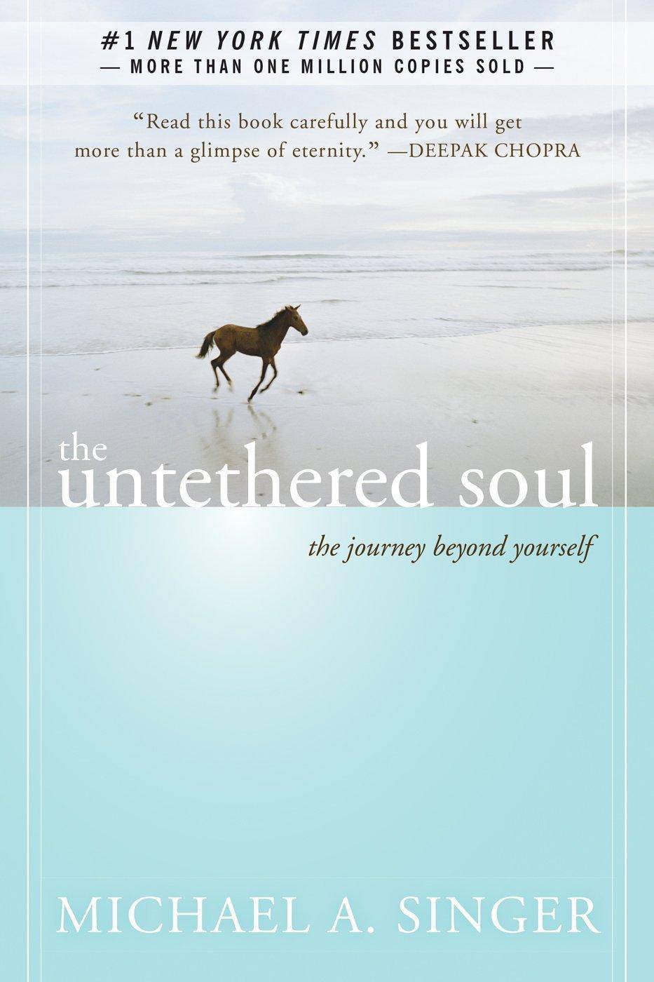 The Untethered Soul - IN Corrections Bookstore