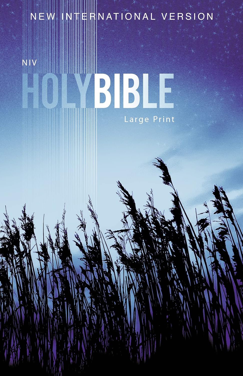 NIV, Outreach Bible, Large Print, Paperback
